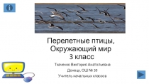 Презентация по окружающему миру на тему Перелётные птицы