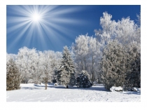 Презентация к занятию Зима - волшебница