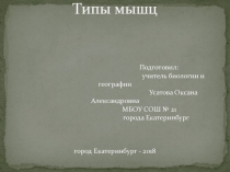 Презентация по биологии на тему Мышцы (8 класс)