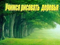 Урок Изо  Учимся рисовать деревья 3 класс