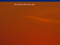 Презентация биология Экологическая акция