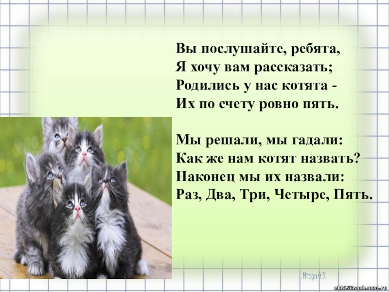 Стих пять котят. Стих родились у нас котята. 5 Котят стихотворение. Родились у нас котята их по счету Ровно пять стих. Вы Послушайте ребята я хочу вам рас.