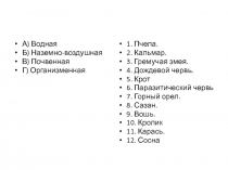 Презентация к уроку Экологические факторы среды