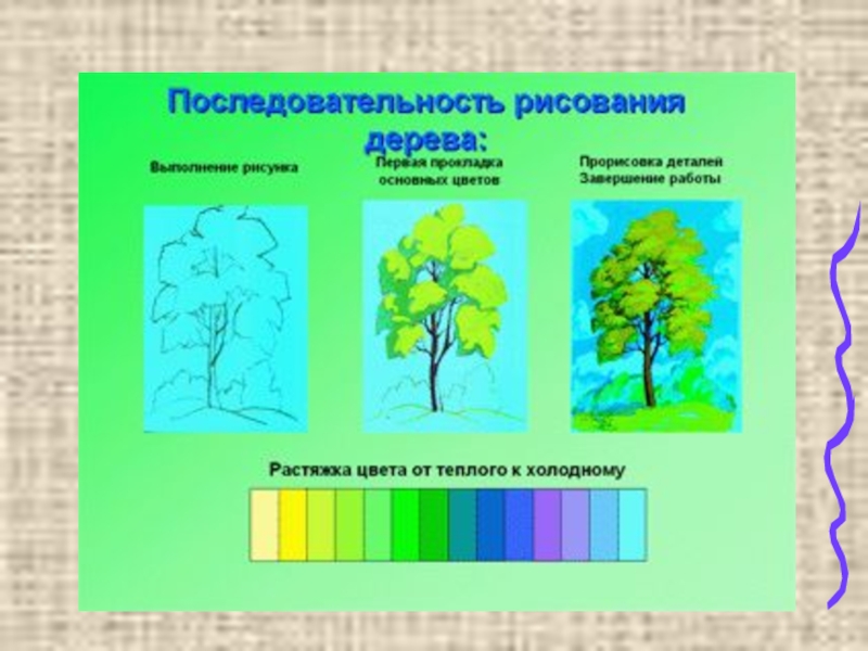 Изо 1 класс 1 четверть презентация поэтапное рисование