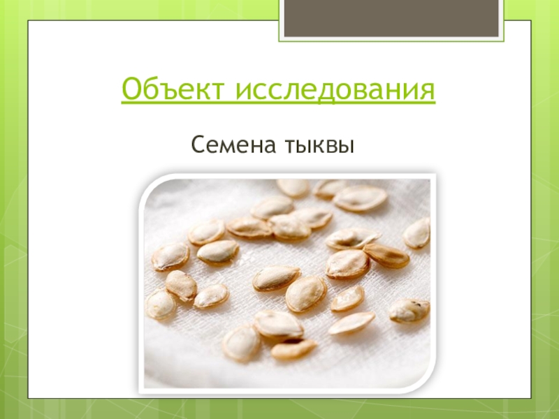 Изучение семян. Исследование семян. Семена исследования. Семена тыквы презентация. Развитие растения из семени 1 класс.