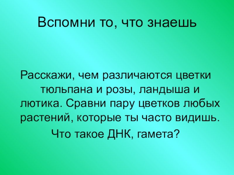 Игры по биологии 6 класс презентация