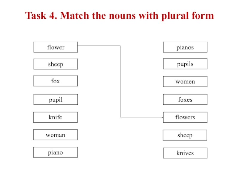 Task 4. Match the nouns with plural form