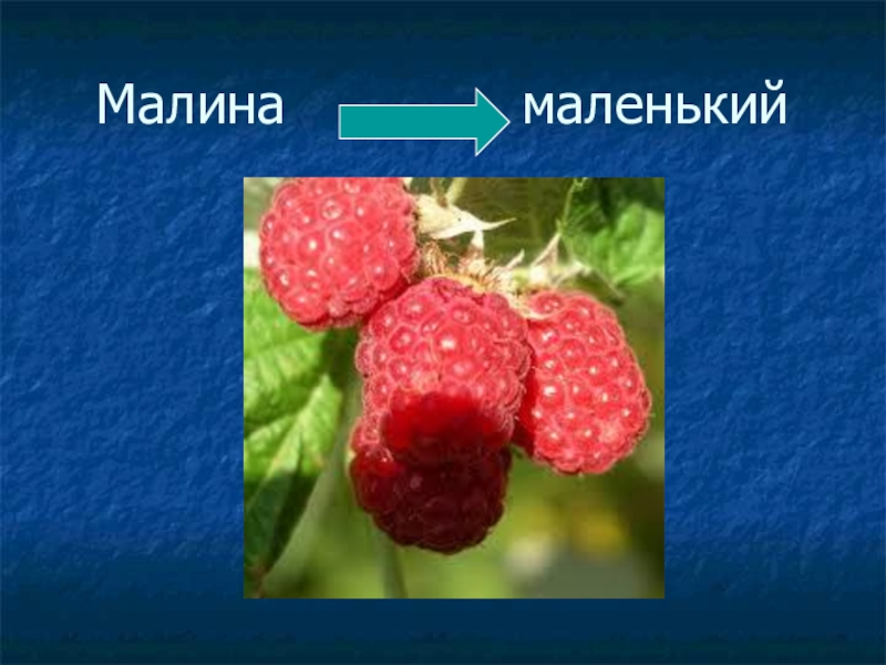 Словарное слово земляника 2 класс. Слово малина. Словарное слово малина презентация. Малина словарь. Загадка про землянику.