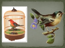 Конспект нод Детки в клетке