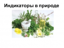 Урок-презентация Индикаторы в природе.