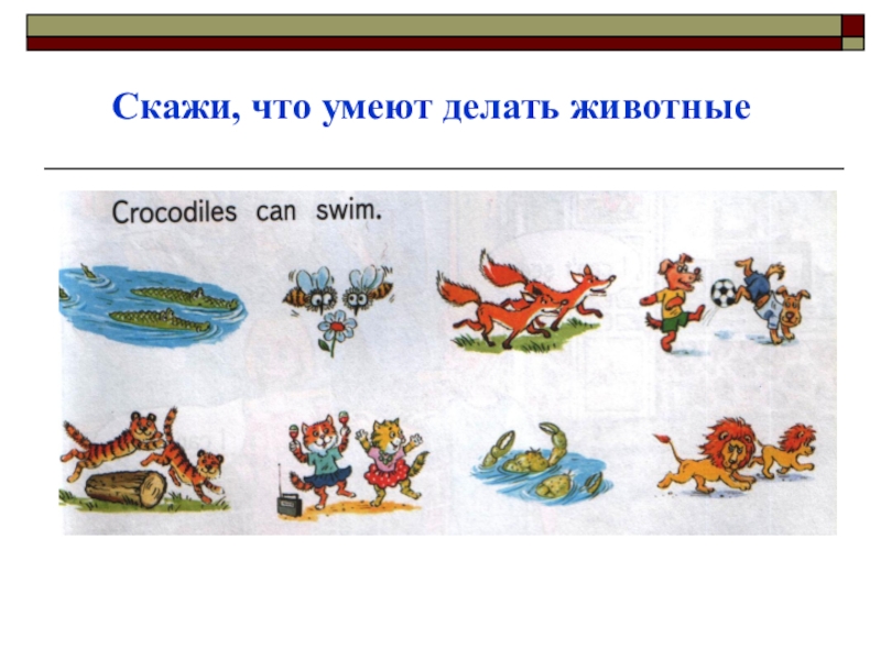 Скажи 2 класс. Что умеют делать животные. Что умеет делать животное. Что умеют делать животные на английском. Кто что умеет делать.