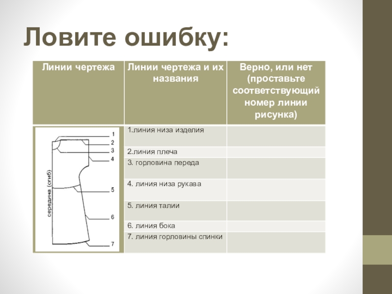 Чертеж основы переда и спинки изделия с цельнокроеным рукавом