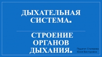 Презентация по биологии 8 класс Дыхательная система. Строение органов дыхания
