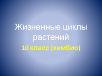 Презентация Жизненные циклы растений для 10 химико-биологического класса