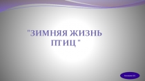 Презентация к уроку по окружающему миру по теме: Зимняя жизнь птиц