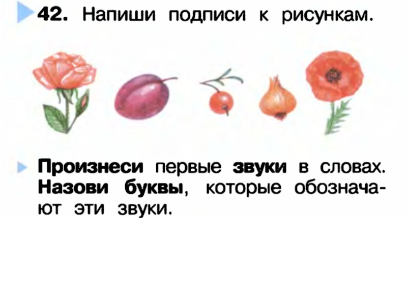 Напиши подпиши. Напиши подписи к рисункам. Напиши подписи к рисункам 1 класс. Произнеси первые звуки в словах. Напиши подписи к рисункам роза слива.