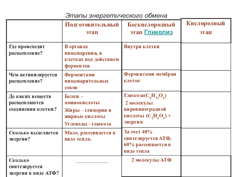 Этапы энергетического обмена протекает. Таблица по биологии 10 класс этапы энергетического обмена. Характеристика 2 этапа энергетического обмена. Этапы энергетического обмена веществ таблица. Формула кислородного этапа энергетического обмена.