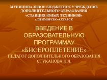 Введение в образовательную программу Бисероплетение