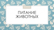 Тест по теме Питание животных (6 класс)