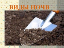 Презентация по биологии на тему Виды почв (6 класс)