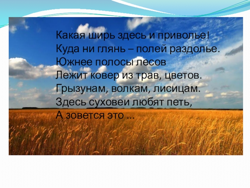 Слово раздолье. Южнее полосы лесов лежит ковер из трав цветов. Какая ширь Раздолье. Какая ширь здесь и Приволье куда ни глянь полей Раздолье. Южнее полосы лесов лежит ковёр из трав цветов какая природная зона.