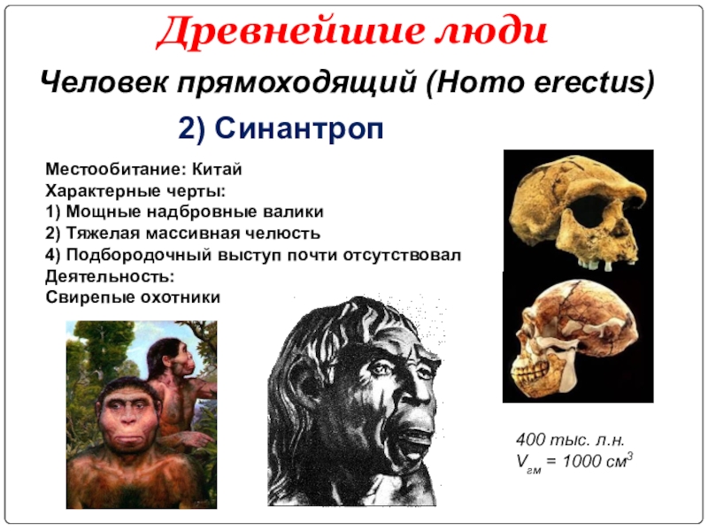 Объем мозга питекантропа. Биологические характеристики древних людей. Питекантроп и синантроп это. Древнейшие люди биология.