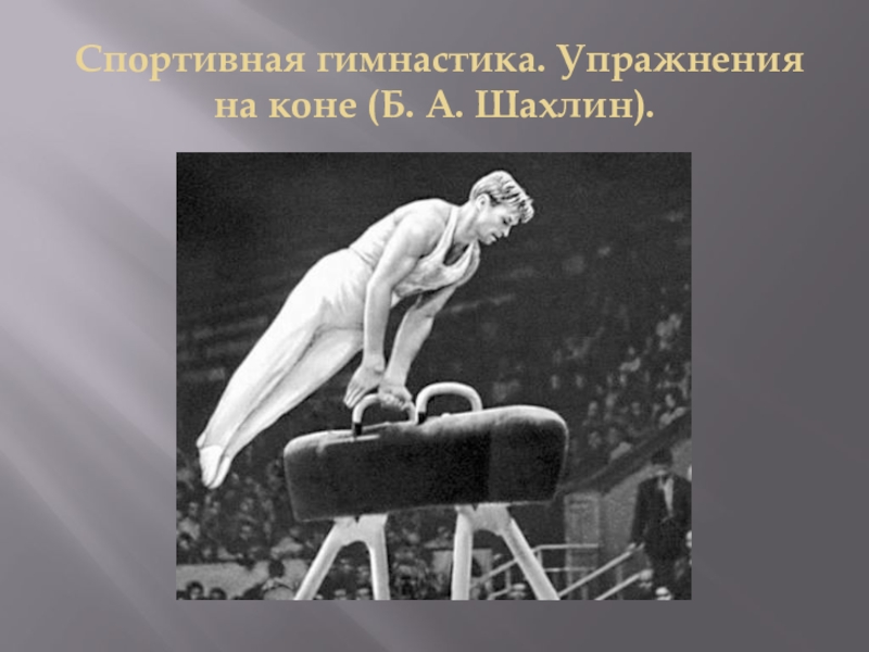 Владимир кучеров цирковой гимнаст фото в молодости