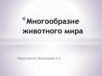 Презентация Многообразие животного мира