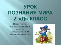 Презентация по познанию мира 2 класс на тему Лекарственные растения