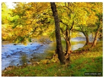 Презентация к урокам чтения