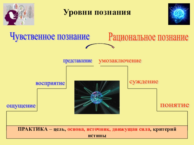 Познание презентация 10 класс профильный уровень