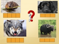 Презентация по обучению грамоте на тему:  Буква Ё 1 класс