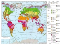 Презентация по биологии для 5 класса Природные зоны