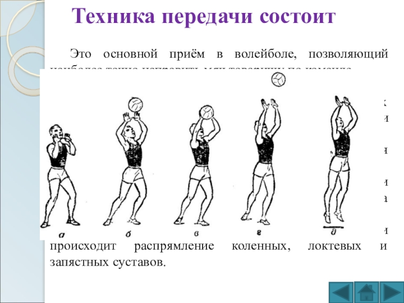 Передача техники. Основные приемы в волейболе. Исходное положение в волейболе.