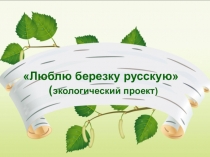 Презентация по экологическому воспитанию Люблю берёзку русскую!
