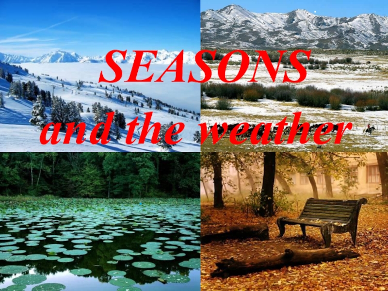 Презентация Презентация к уроку Seasons and weather