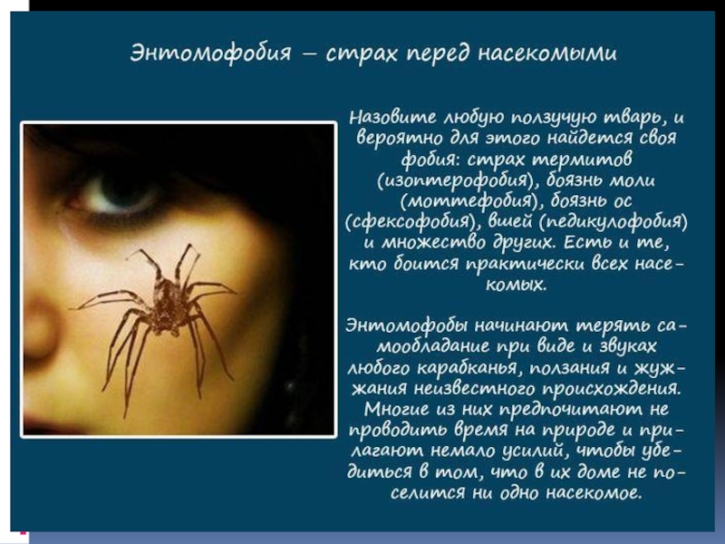 Человек который всего боится как называется. Арахнофобия это боязнь пауков. Фобия боязнь насекомых название.