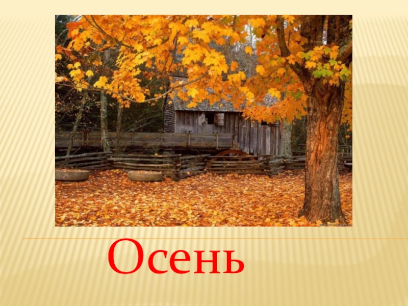 Осень презентация 2 класс. Презентация осень. Картинки осени для презентации. Мое мнение про осень. Презентация 