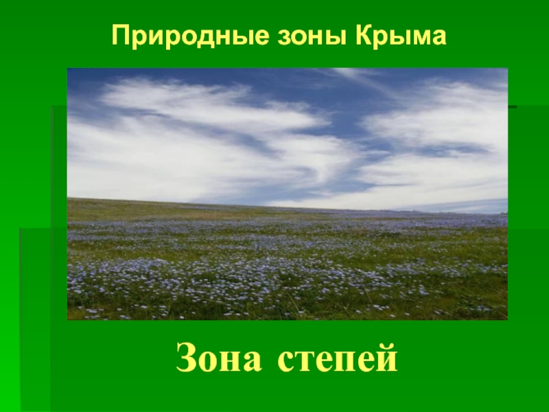 Презентация Конспект урока по природоведению Степи Крыма. Раздольненская степь и презентация к уроку