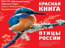 Презентация Красная книга. Птицы России (1-11 классы) к Году экологии