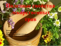 Полезные свойства лекарственных растений