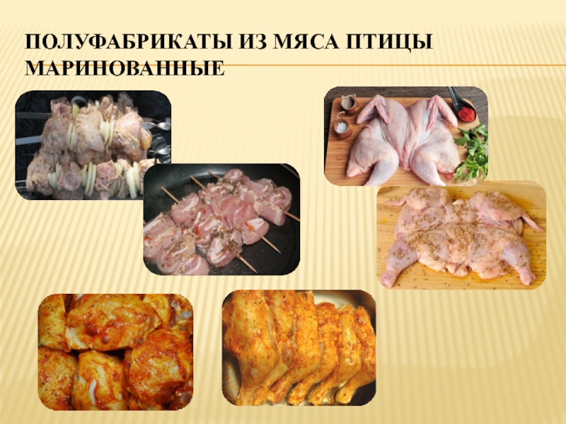 Презентация на тему мясо птицы