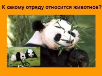 Презентация к статье по биологии Игры в помощь обучению и воспитанию на уроках биологии с использованием информационных технологий