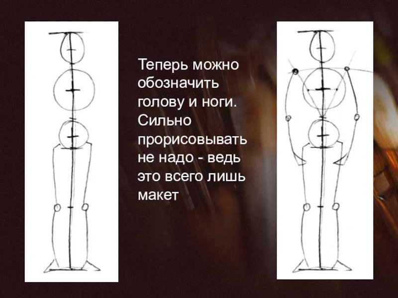 Пропорции человека презентация