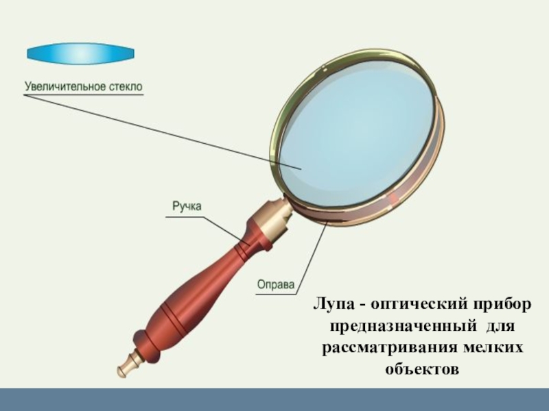 Что является основной частью лупы обеспечивающей увеличение изображения ответ