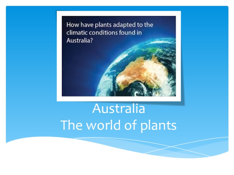 Презентация Презентация по английскому языку Австралия. Мир растений (6 класс)