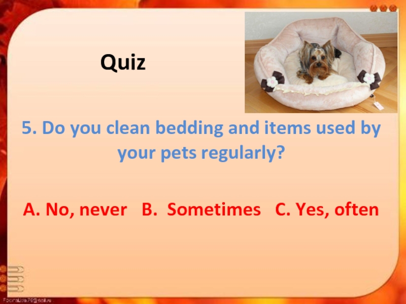 Quiz5. Do you clean bedding and items used by your pets regularly?A. No, never  B. Sometimes