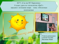 Презентация к уроку познание мира по технологии БиС