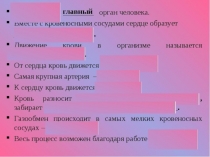 Презентация по физической культуре на тему Кровеносная система(3 класс)