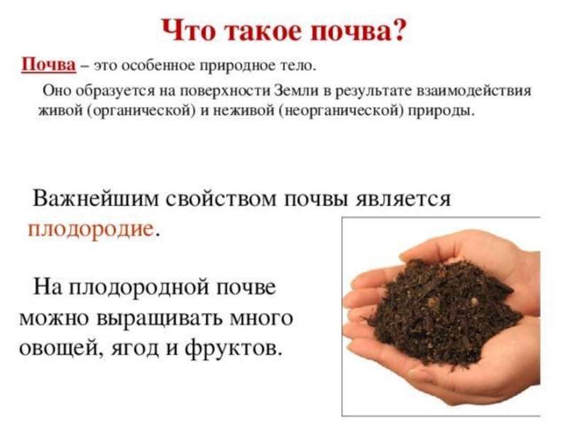 Важнейшим свойством почвы является наличие. Почва. Почва определение. Почва как результат взаимодействия. Почвоведение.